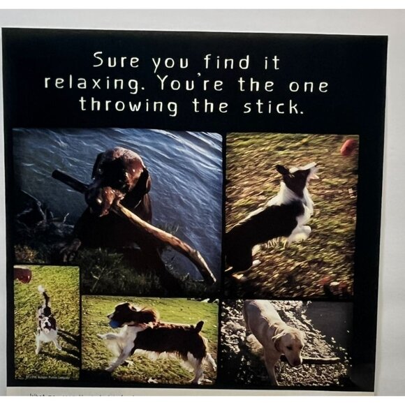 Purina Hi Pro Dog Food Print Ad Vintage 90s Active Dogs Stick Throwing - Picture 4 of 5